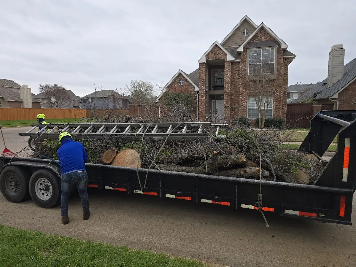 Expert Crown Reduction with proper safety equipment in Emporia